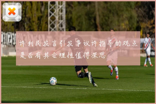 许利民发言引发争议许指导的观点是否有其合理性值得深思